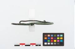 Foto von Bronzebrillenfibel (NHMW-PRAE-024719)